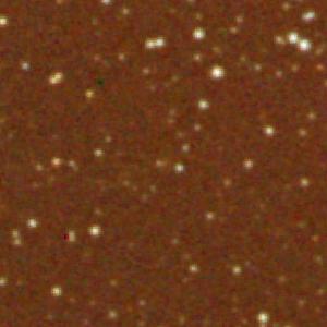 Optical image for SWIFT J2320.5+6432