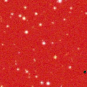 Optical image for SWIFT J0502.5+2443