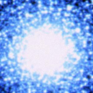 Optical image for SWIFT J0514.2-4002