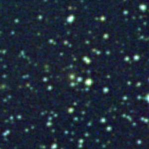 Optical image for SWIFT J0709.3-1525
