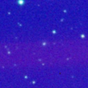 Optical image for SWIFT J0830.1+4154