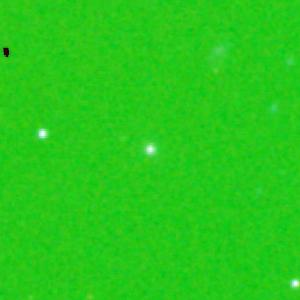Optical image for SWIFT J1103.4+3731
