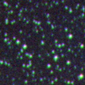 Optical image for SWIFT J1145.6-6956