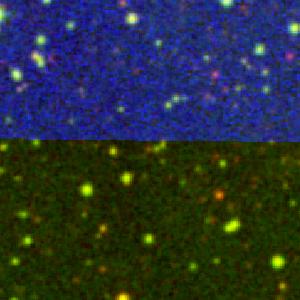 Optical image for SWIFT J1821.3-1320