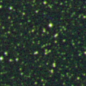 Optical image for SWIFT J1825.4+0000