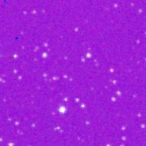 Optical image for SWIFT J0146.0+6143