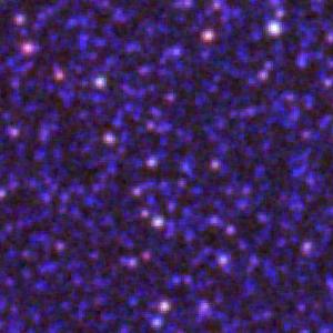 Optical image for SWIFT J0520.9-7156