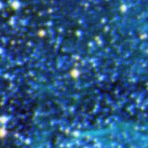 Optical image for SWIFT J0539.9-6919