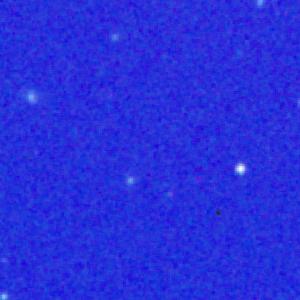 Optical image for SWIFT J1033.8+5257