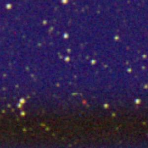 Optical image for SWIFT J1848.2-0310