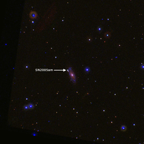 UVOT Observation of SN 2005 am Near Peak